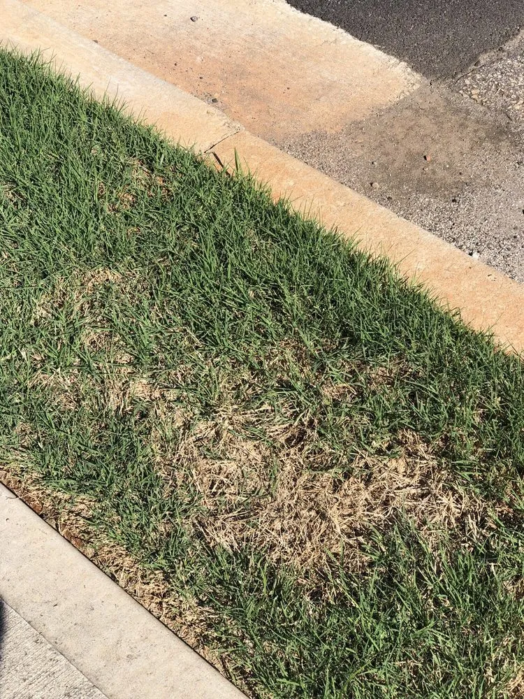 Custom landscaping services in Conyers, GA by Unlimited Lawn Care