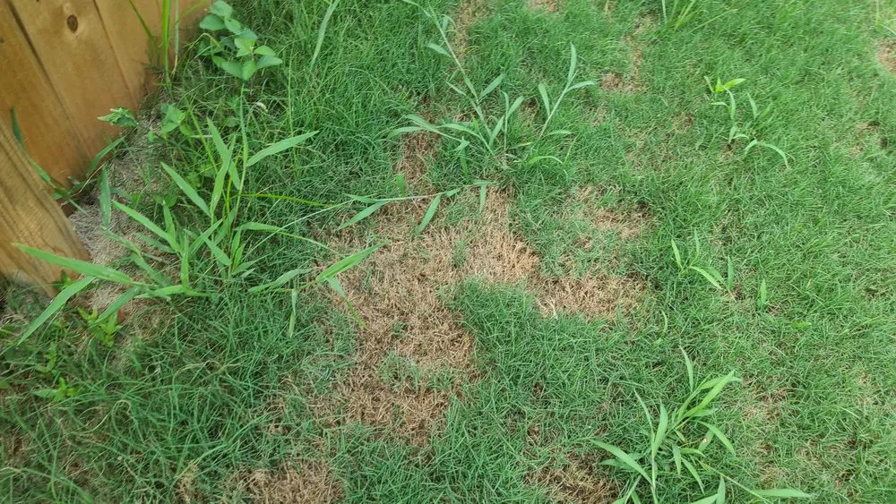 Custom landscape design for residential properties across Conyers, GA - Unlimited Lawn Care