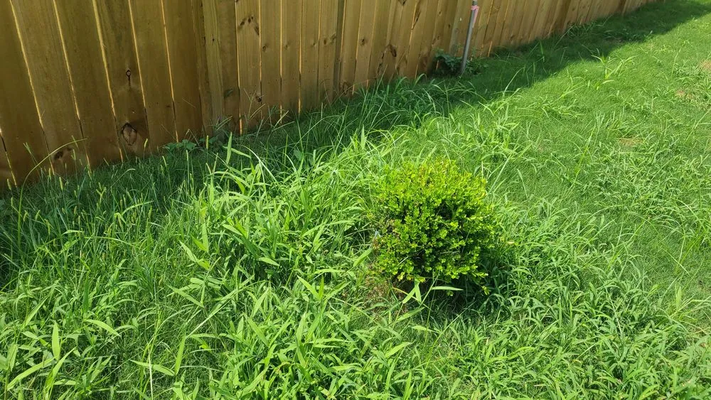 Expert landscaping services in Conyers, GA by Unlimited Lawn Care