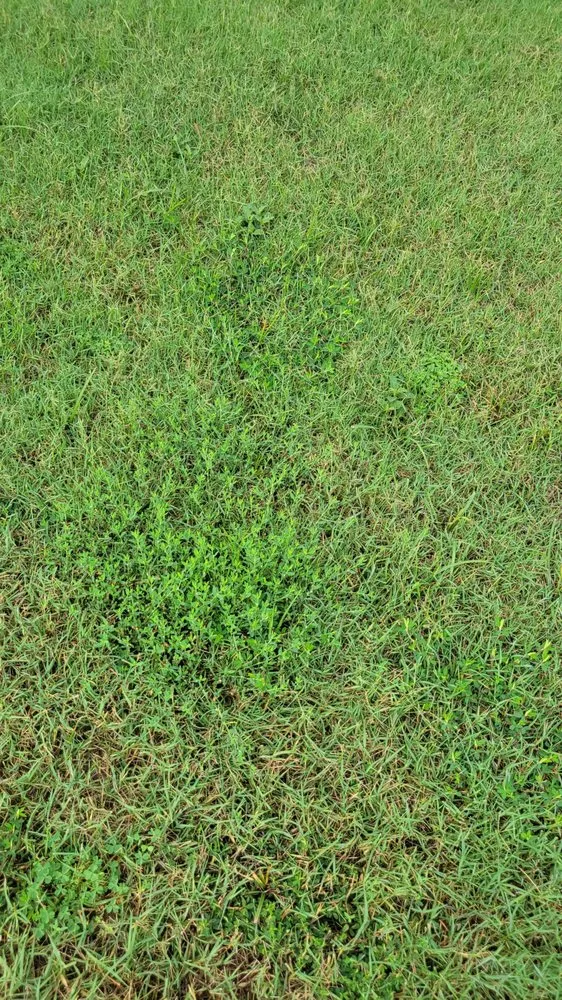 Custom outdoor landscaping in Conyers, GA by Unlimited Lawn Care