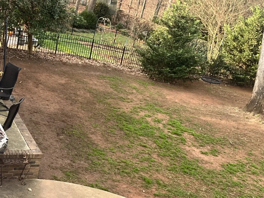 Affordable lawn mowing service experts serving Greenville, SC - Unlimited Lawn Care