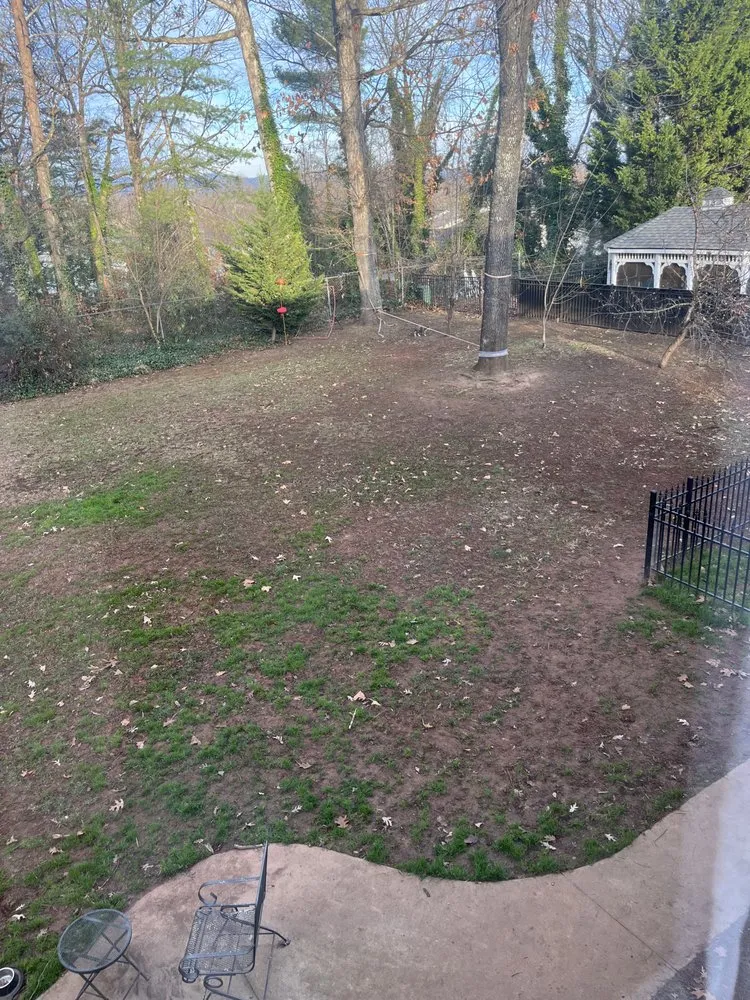 Top-rated residential landscaping for outdoor upgrades in Greenville, SC by Unlimited Lawn Care