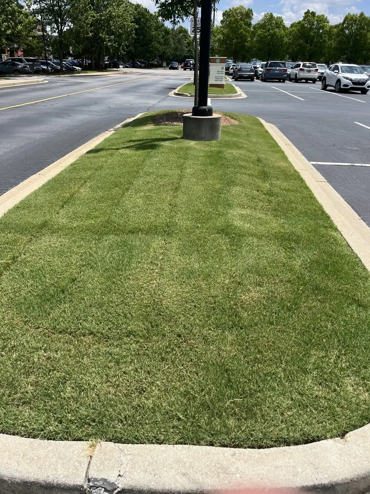 Reliable landscape design for outdoor upgrades in Greenville, SC by Unlimited Lawn Care