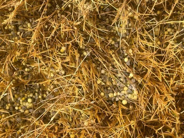 Local yard cleanup service for homes in Newnan, GA by Unlimited Lawn Care