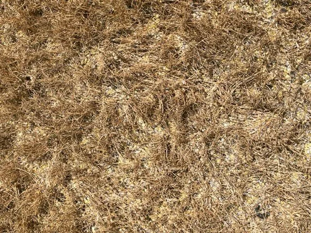 Local landscape installation in Newnan, GA by Unlimited Lawn Care