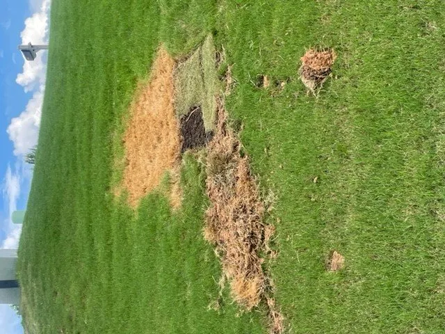 Professional garden landscaping in Newnan, GA by Unlimited Lawn Care