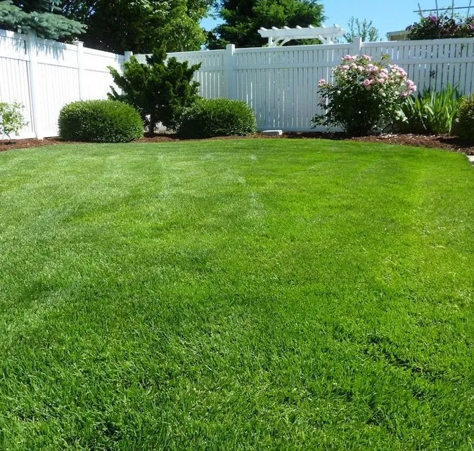 Trusted yard cleanup service in Newnan, GA - Unlimited Lawn Care