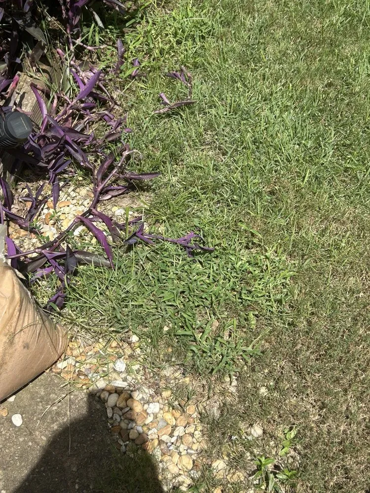 Custom landscape installation near you in Newnan, GA by Unlimited Lawn Care