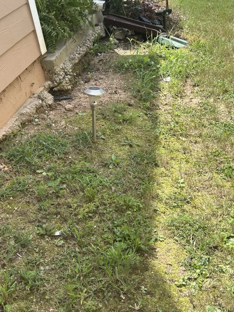 Expert lawn care service for homes across Newnan, GA - Unlimited Lawn Care