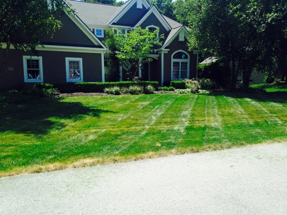 Local landscape installation experts serving Columbus, OH - Unlimited Moving and Landscaping of Ohio