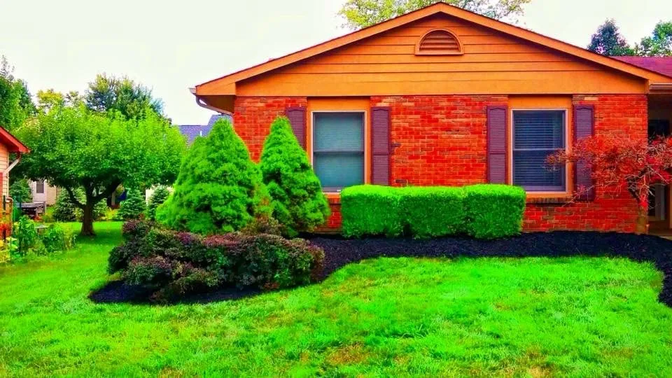 Custom yard maintenance for year-round maintenance across Columbus, OH - Unlimited Moving and Landscaping of Ohio