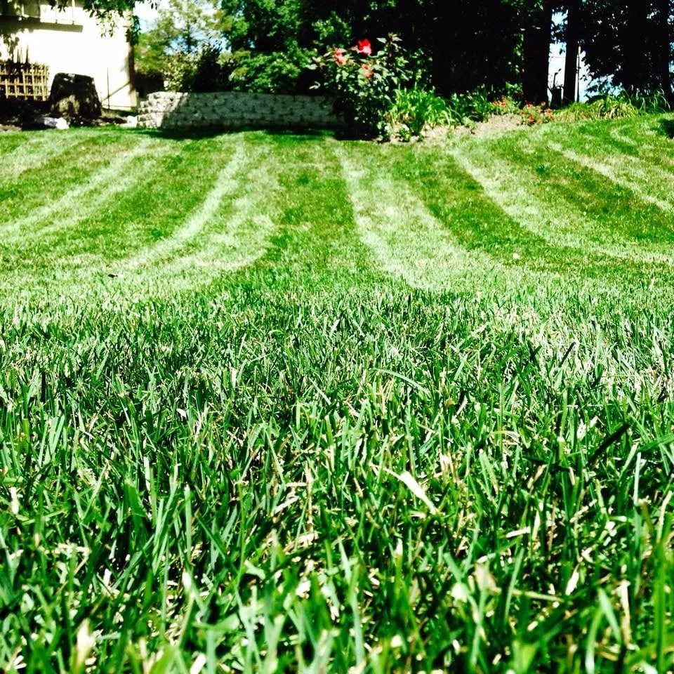 Expert yard cleanup service experts serving Columbus, OH - Unlimited Moving and Landscaping of Ohio