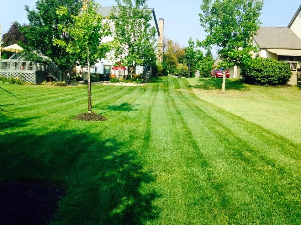Trusted lawn care service experts serving Columbus, OH - Unlimited Moving and Landscaping of Ohio