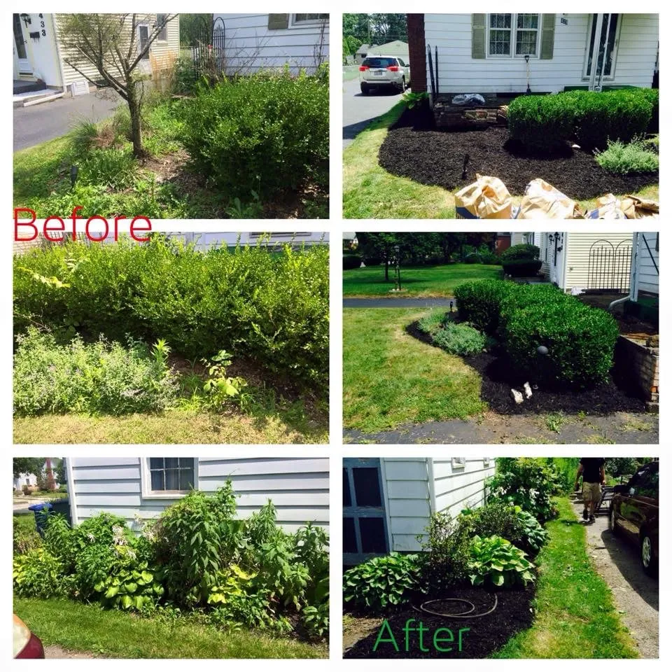 Affordable yard cleanup service near you across Columbus, OH - Unlimited Moving and Landscaping of Ohio