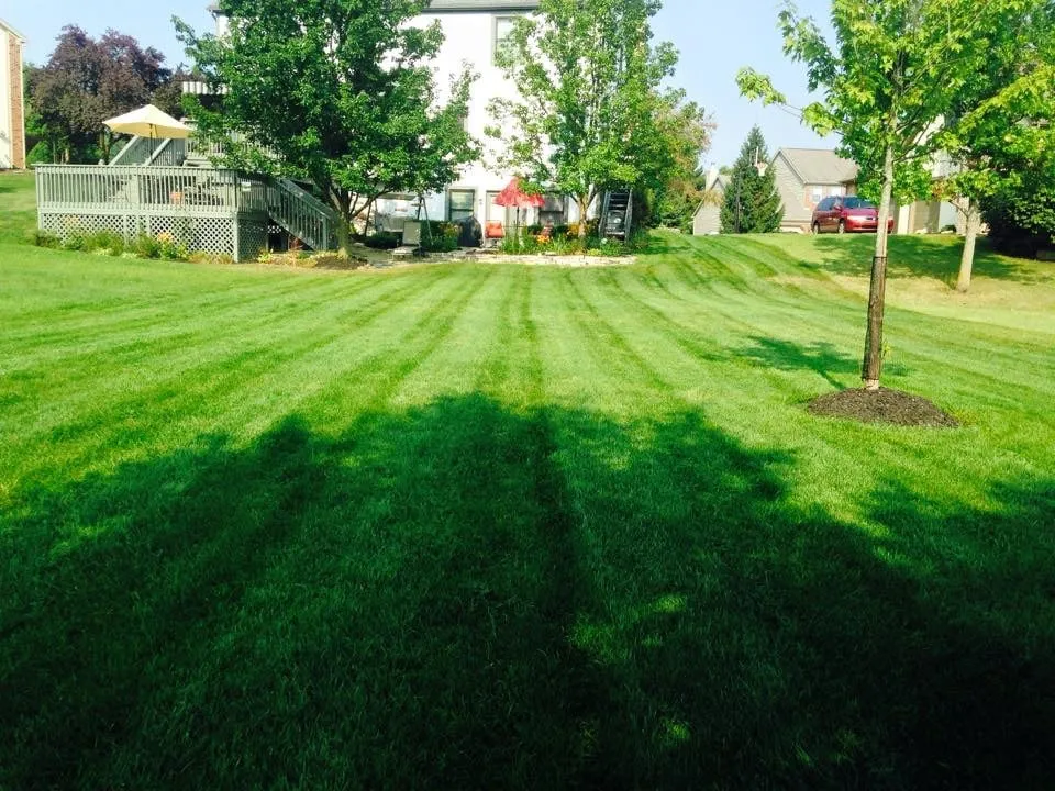 Affordable landscape design in Columbus, OH - Unlimited Moving and Landscaping of Ohio