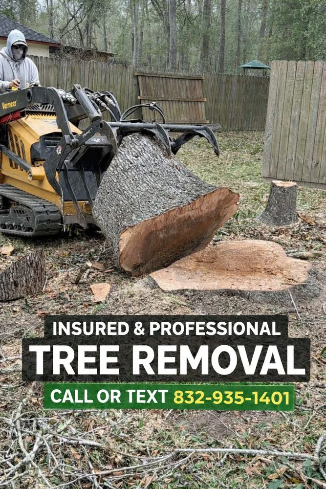 Professional lawn care service for residential properties in Houston, TX by Unlimitedscape