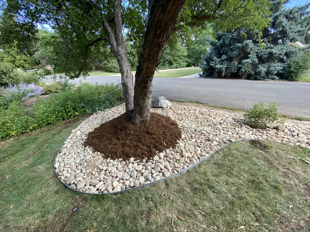 Reliable landscaping services for beautiful yards across Aurora, CO - Unparalleled Landscaping