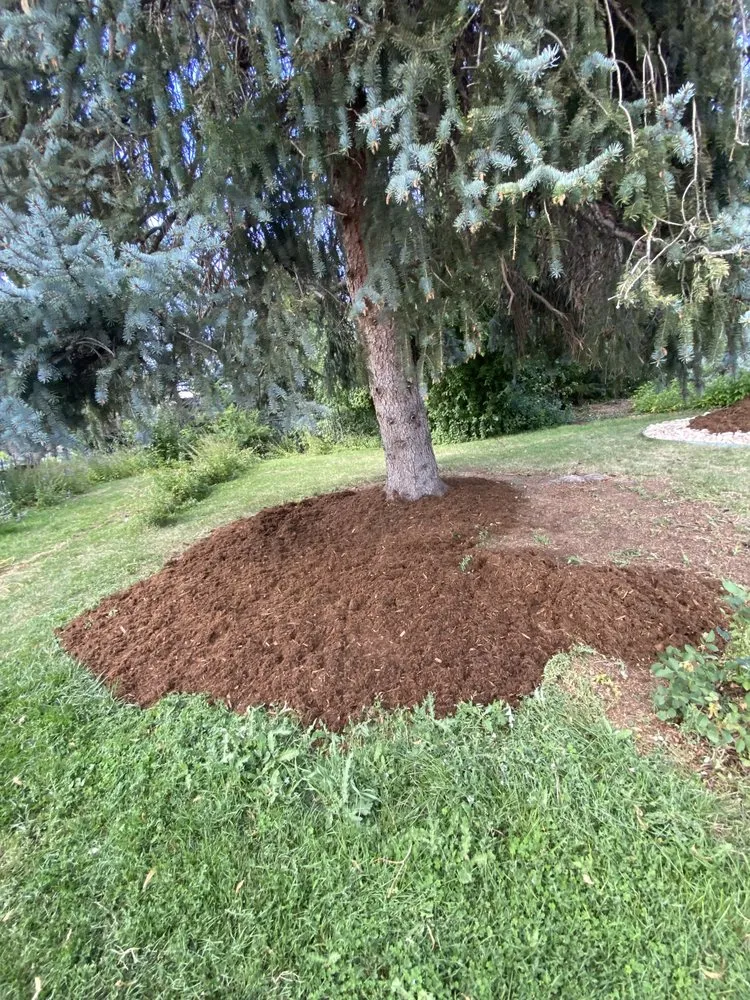 Expert residential landscaping for year-round maintenance in Aurora, CO by Unparalleled Landscaping