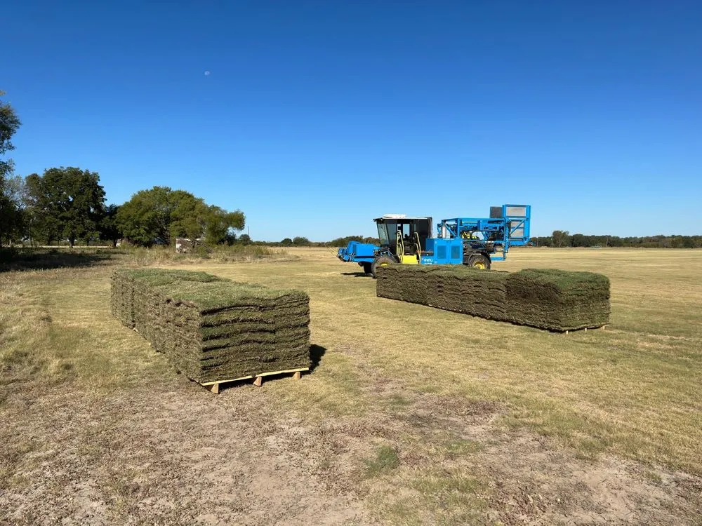 Affordable residential landscaping in Honey Grove, TX by Unruh Turf Farm