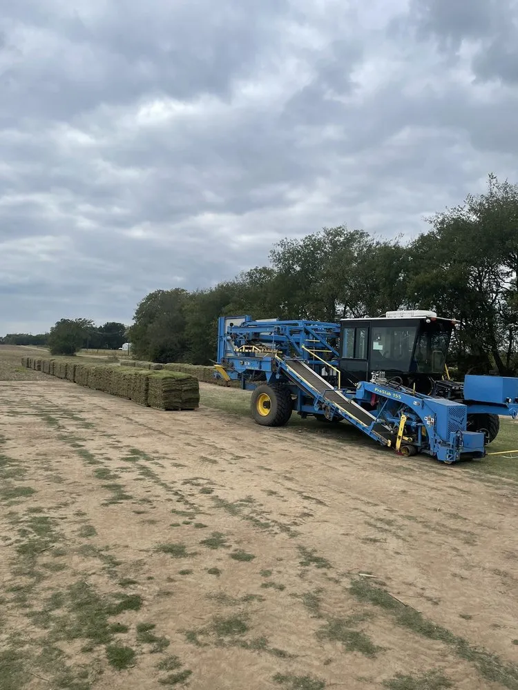 Local landscape design experts serving Honey Grove, TX - Unruh Turf Farm