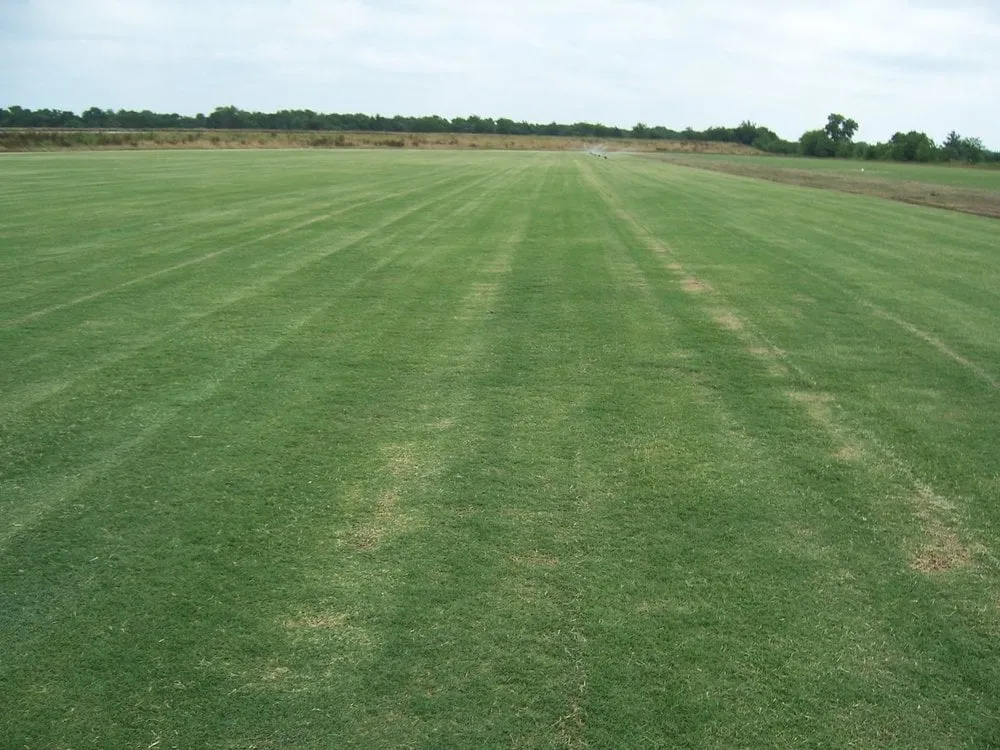 Professional lawn care service for homes across Honey Grove, TX - Unruh Turf Farm