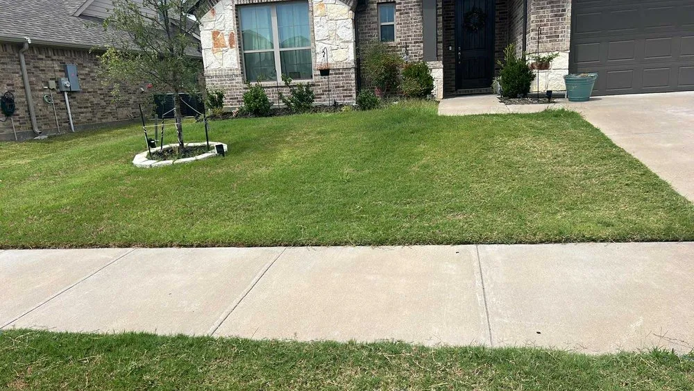 Top-rated outdoor landscaping for beautiful yards across Keene, TX - Unsupervised Lawn Care