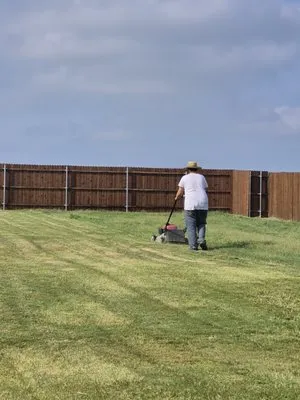 Unsupervised Lawn Care