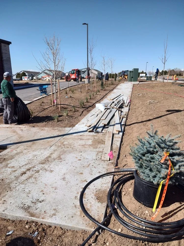 Expert lawn mowing service experts serving Loveland, CO - Unswerving Development