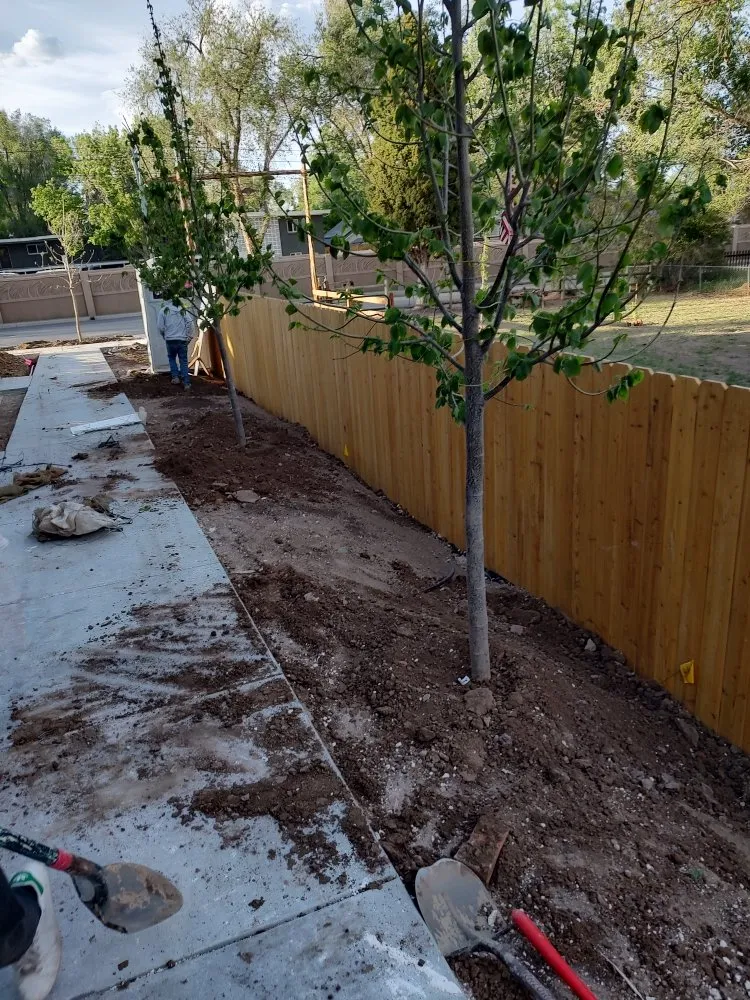 Reliable yard cleanup service in Loveland, CO by Unswerving Development