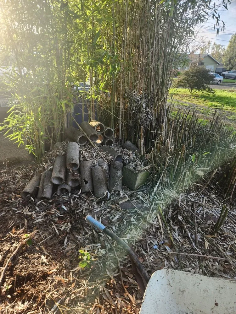 Top-rated lawn care service in Springfield, OR by Untouchable Choices