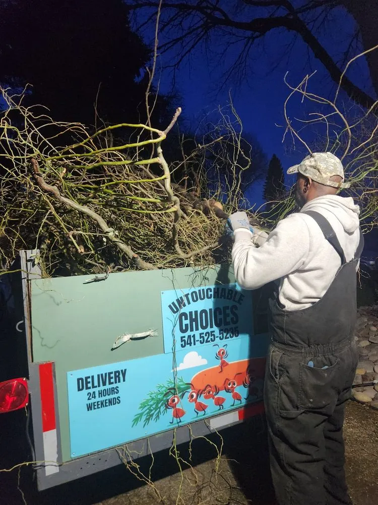 Professional garden landscaping for outdoor upgrades in Springfield, OR by Untouchable Choices