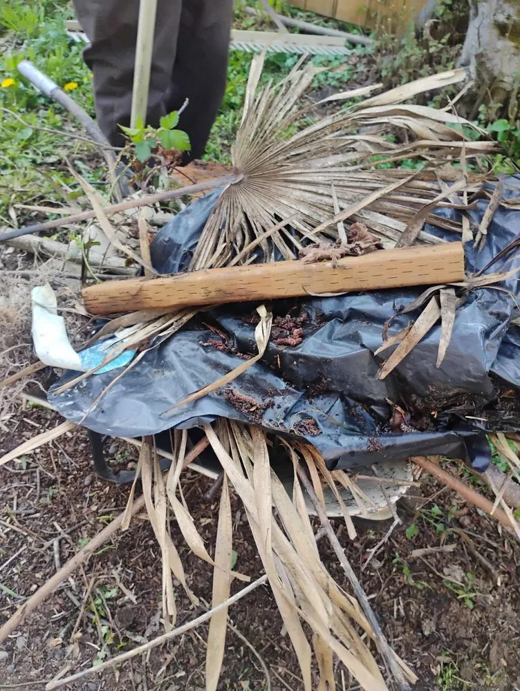 Expert outdoor landscaping for beautiful yards in Springfield, OR by Untouchable Choices