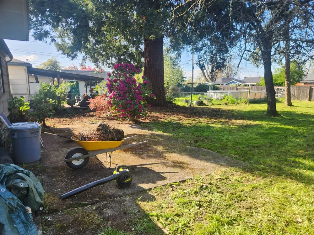 Trusted lawn mowing service in Springfield, OR by Untouchable Choices