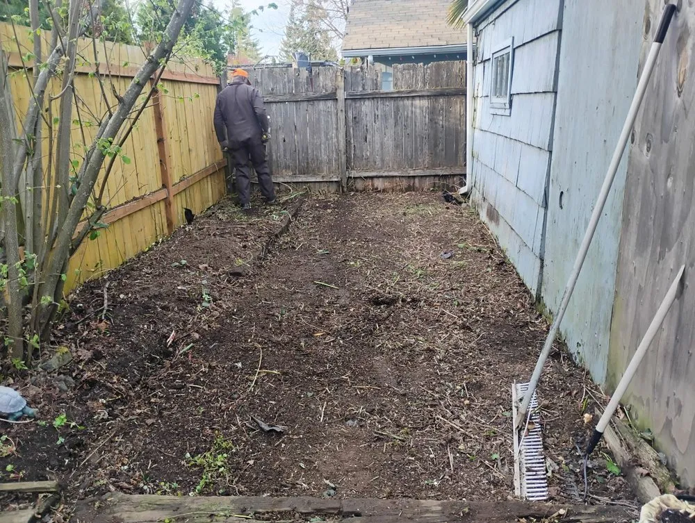 Affordable lawn mowing service in Springfield, OR - Untouchable Choices