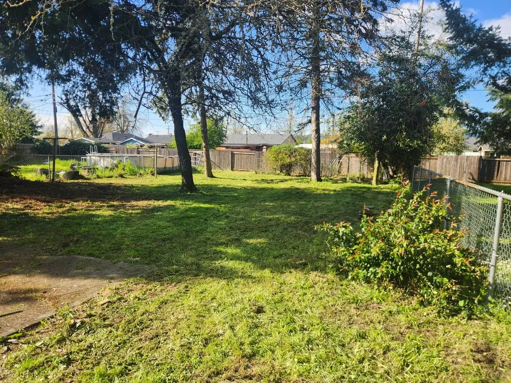 Trusted lawn care service experts serving Springfield, OR - Untouchable Choices