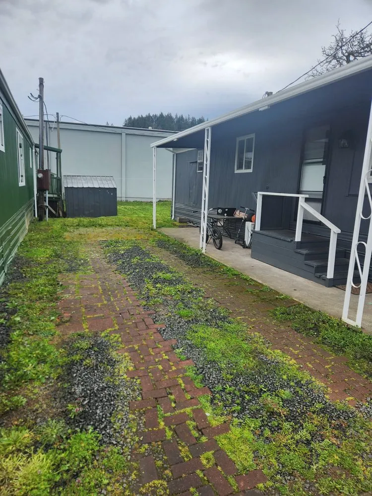 Trusted yard cleanup service for beautiful yards across Springfield, OR - Untouchable Choices