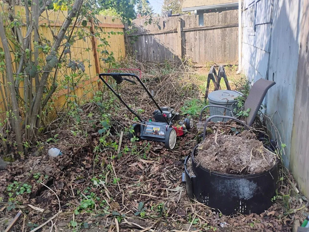 Top-rated residential landscaping for beautiful yards in Springfield, OR by Untouchable Choices