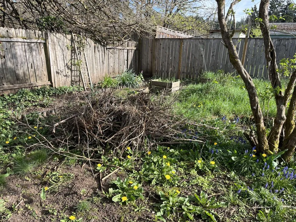 Trusted yard cleanup service for year-round maintenance across Springfield, OR - Untouchable Choices