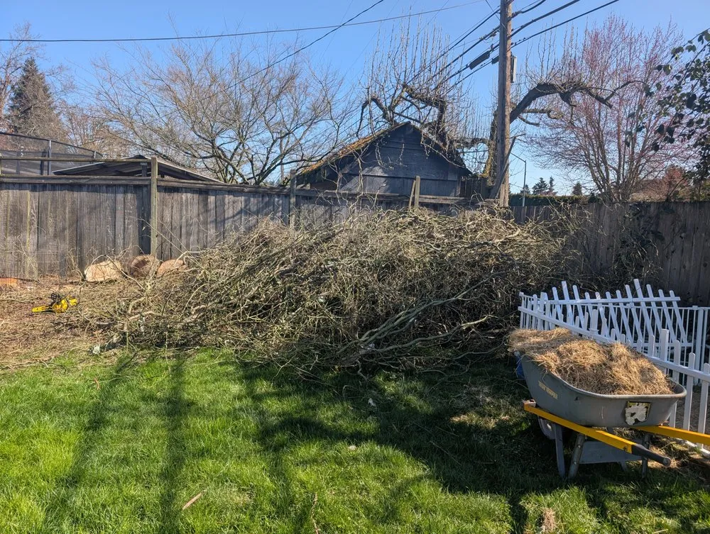 Professional garden landscaping for residential properties across Springfield, OR - Untouchable Choices