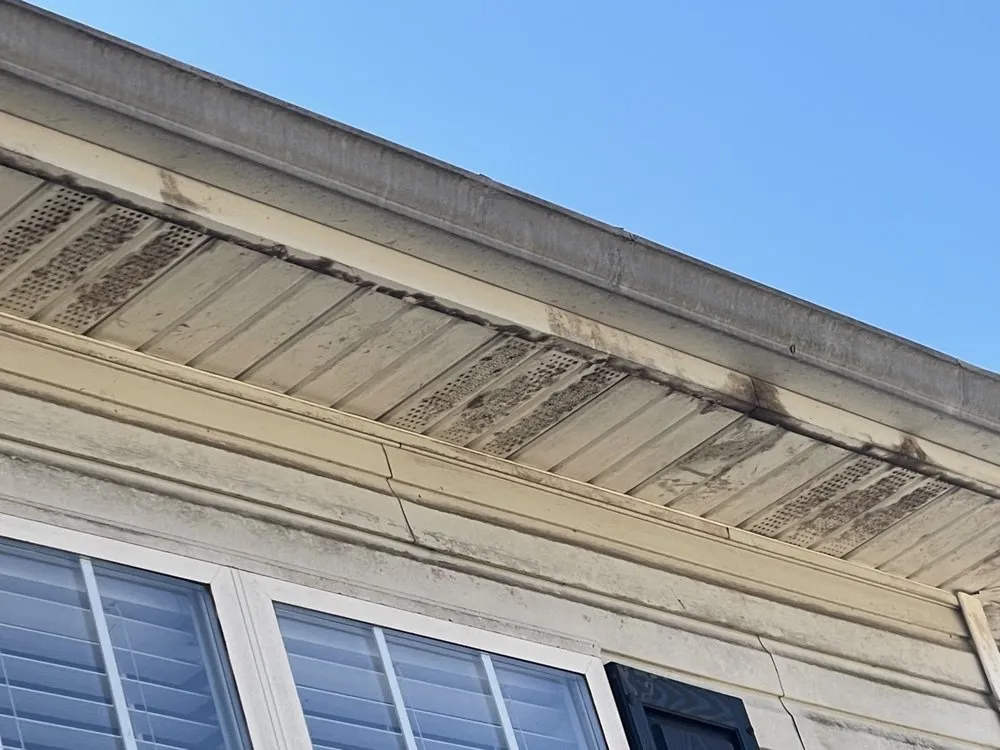 Affordable landscape installation experts serving Powder Springs, GA - Untouchable Lawn Care & Pressure Washing