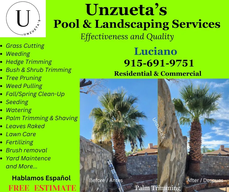Reliable yard maintenance in El Paso, TX by Unzueta's Pool & Landscaping Services