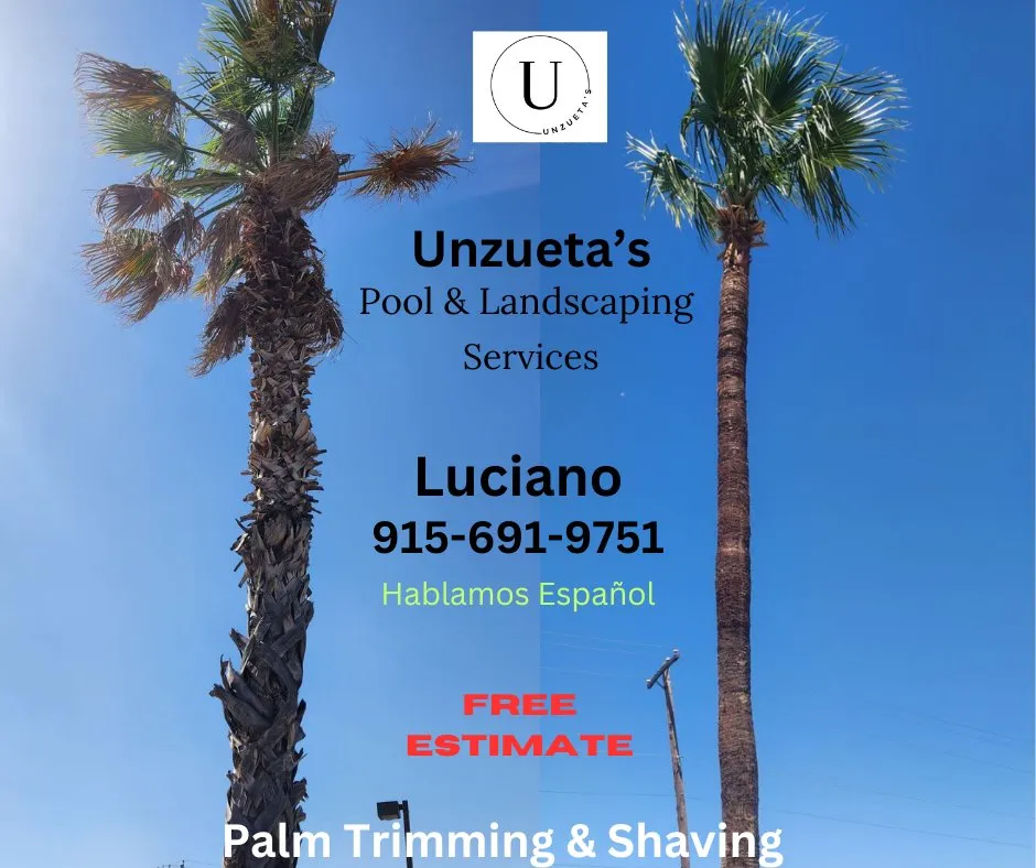 Expert lawn care service near you across El Paso, TX - Unzueta's Pool & Landscaping Services