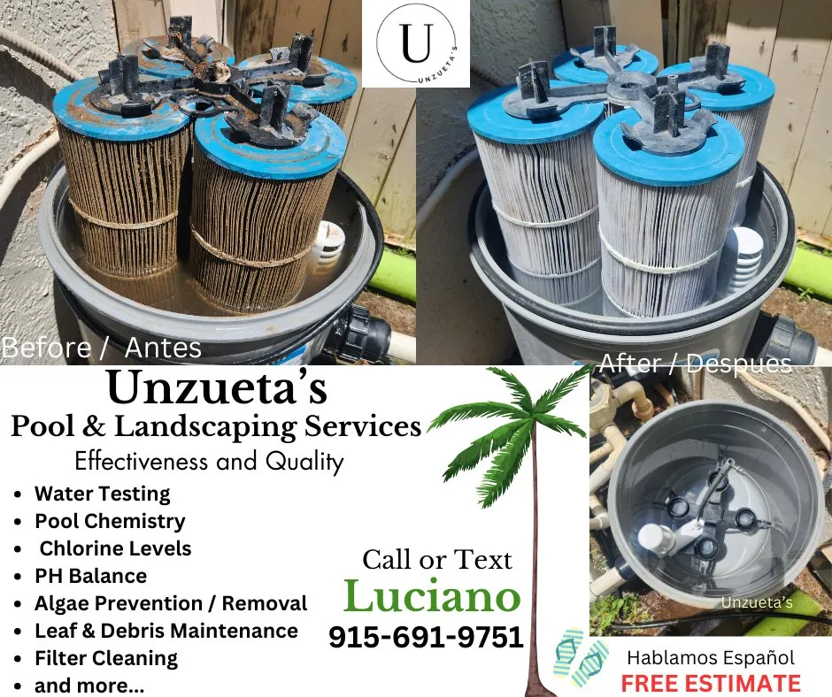 Custom yard cleanup service for year-round maintenance across El Paso, TX - Unzueta's Pool & Landscaping Services