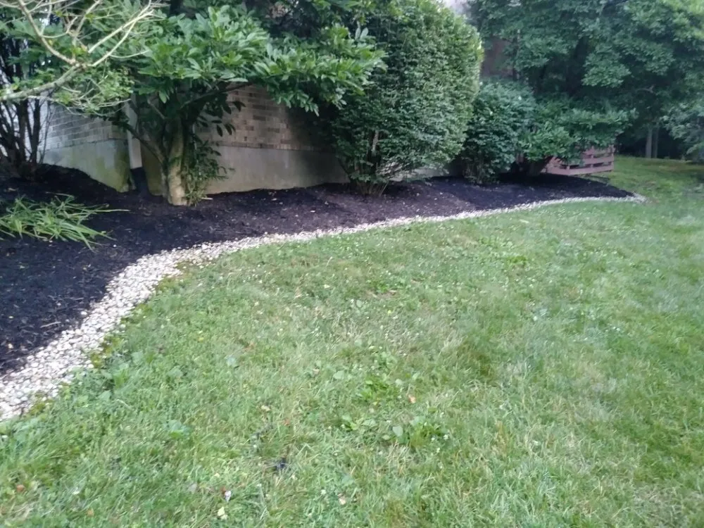 Trusted yard cleanup service in Louisville, KY - Up & Rising Remodel