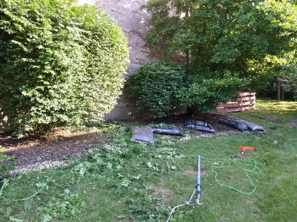 Custom yard cleanup service in Louisville, KY - Up & Rising Remodel