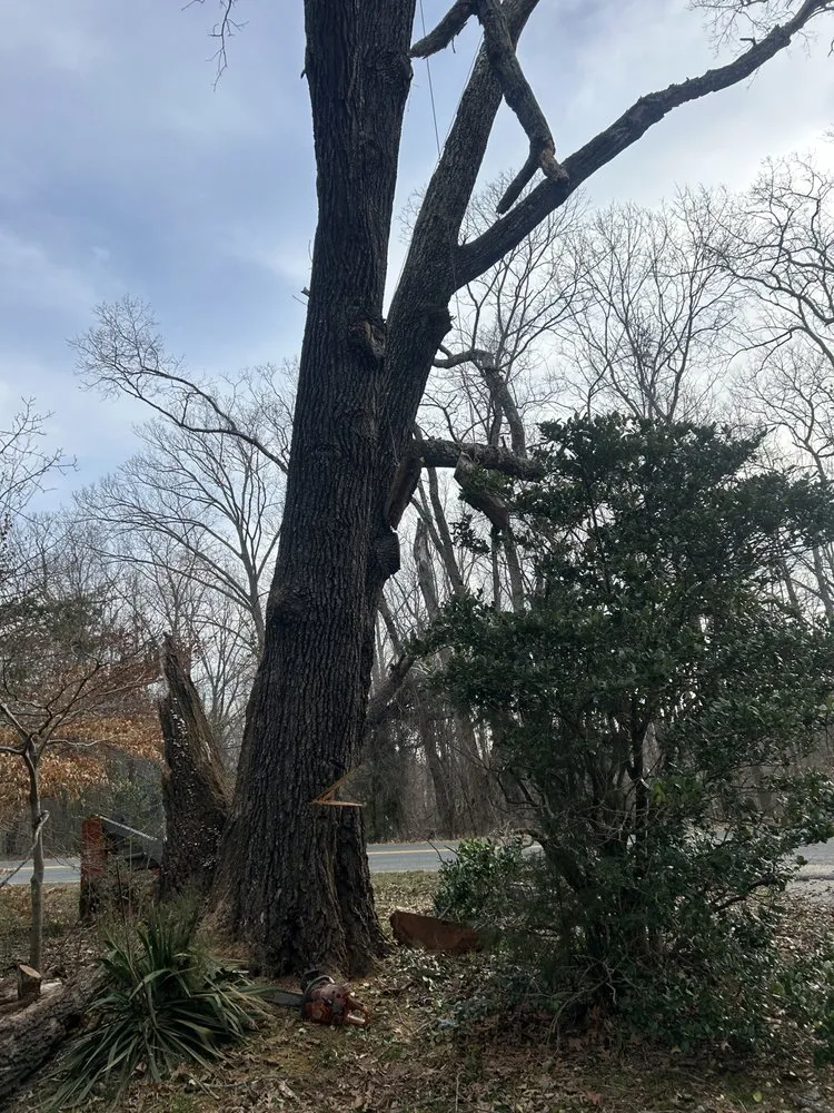 Expert garden landscaping in Madison, VA by Up and Above Outdoor Services