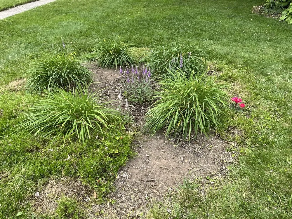 Top-rated landscaping services for residential properties across Dayton, OH - Up and Smoke
