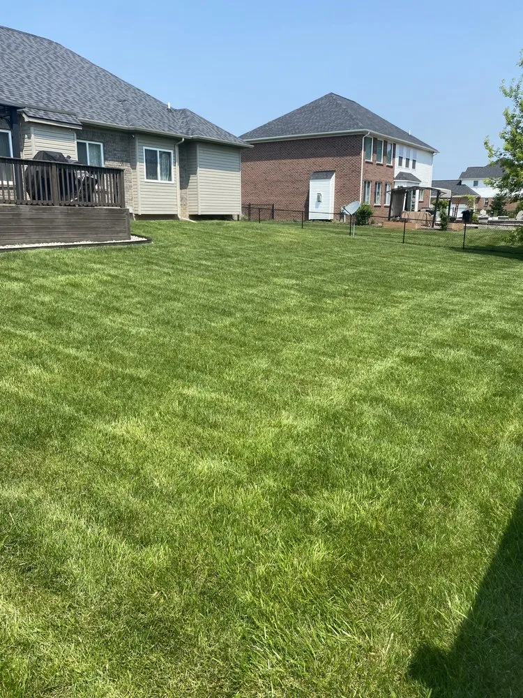 Professional landscape installation for beautiful yards in Lincoln Park, MI by Up Charged