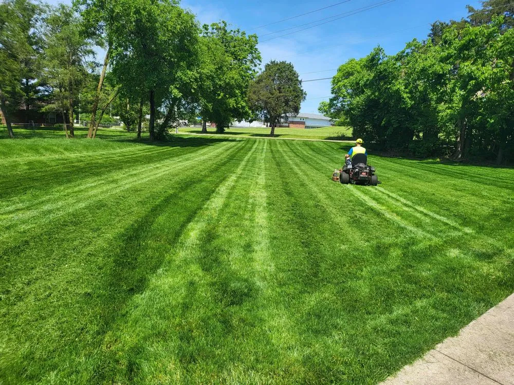 Top-rated yard cleanup service in Dayton, OH - Up N' Smoke Lawn Care