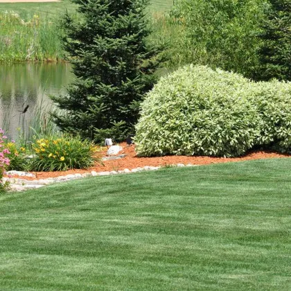 Local landscaping services in Dayton, OH by Up N' Smoke Lawn Care